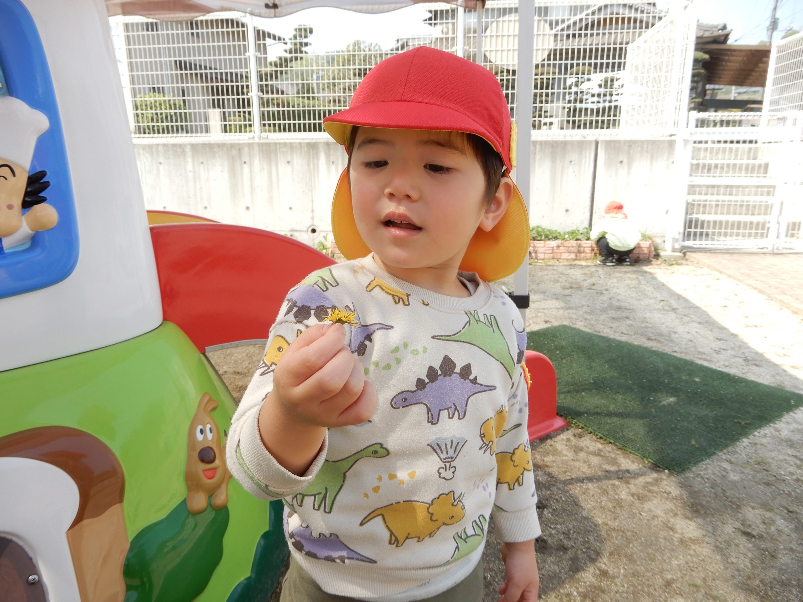 DSCN8978 DSCN8978