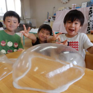 DSCN0288 DSCN0288