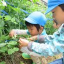 やったぁ 固まったよ にじブルー3歳児 大津野こども園