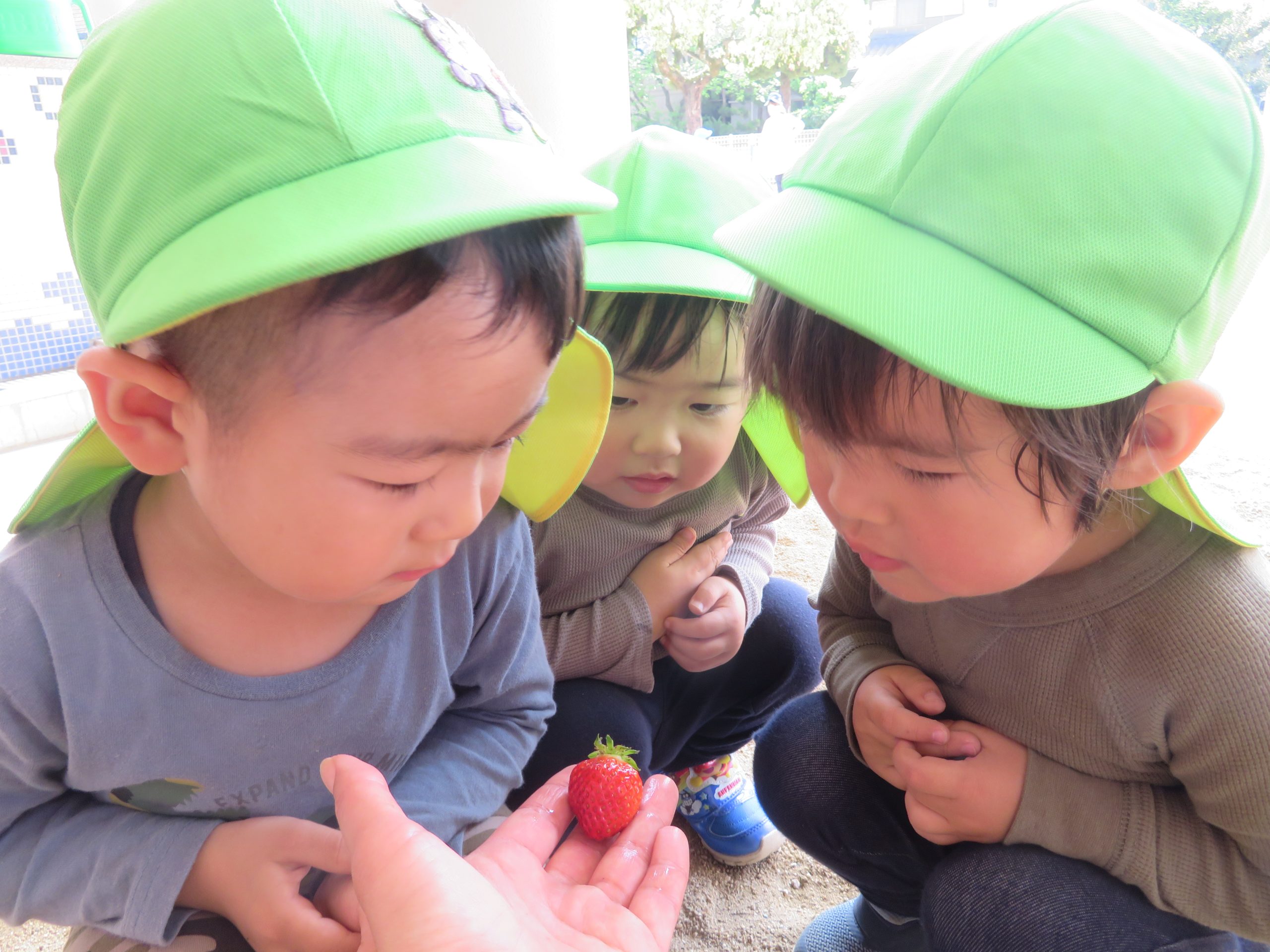 ☆「いちご、見～つけた！！♪～つきぐみ（２歳児）～☆