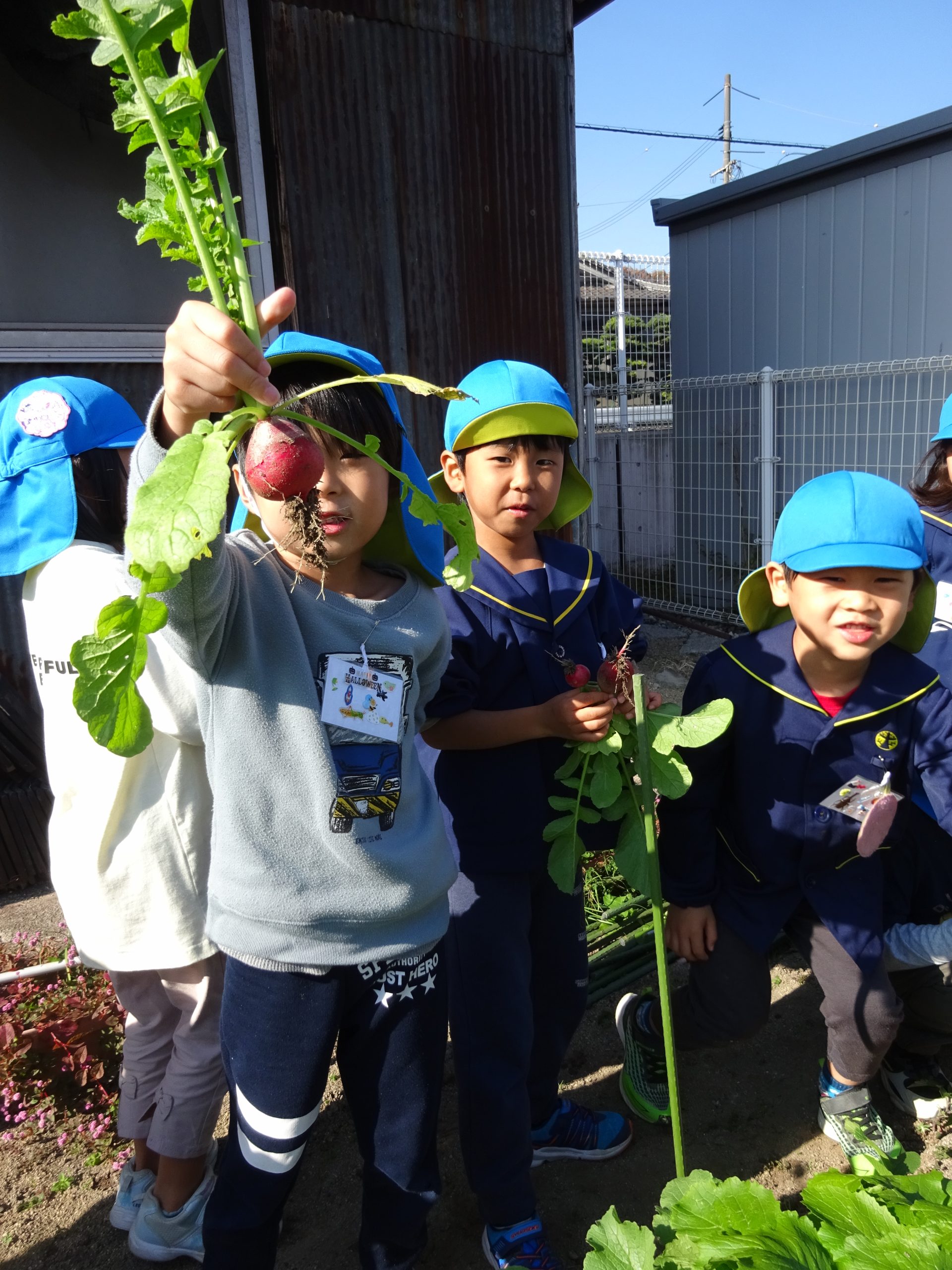 冬の野菜に親しみ、おいしく食べよう♪