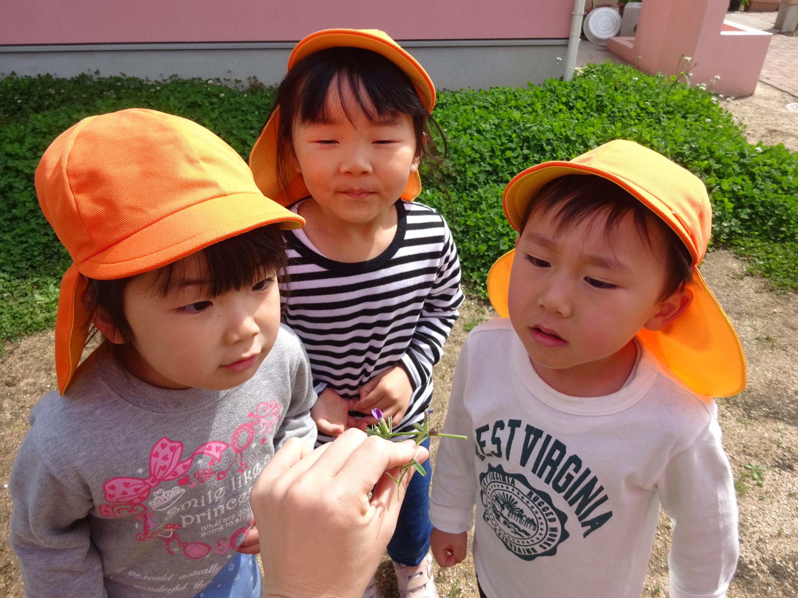 不思議がいっぱい！生き物の世界（ほしぐみ４歳児）