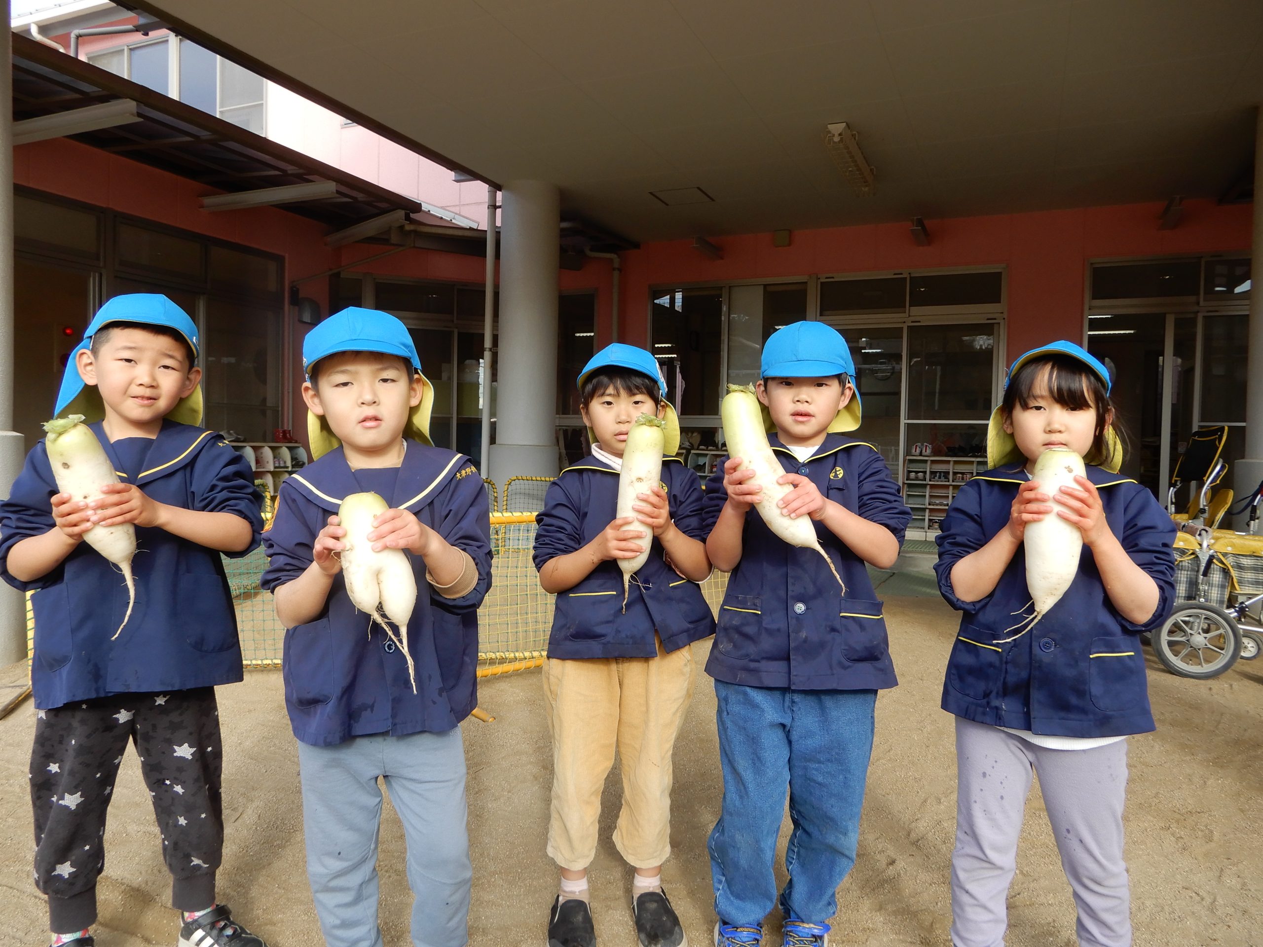 切り干し大根づくり☆そらぐみ(5歳児)☆