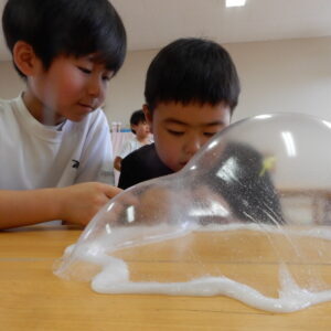 DSCN0286 DSCN0286