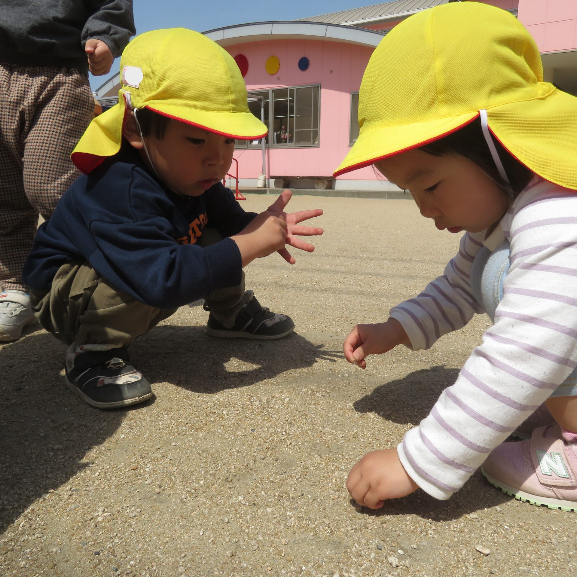 IMG_3560 IMG_3560